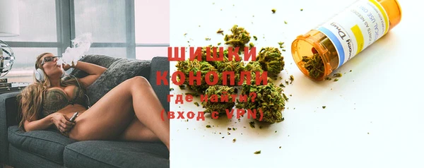 тгк Богородицк