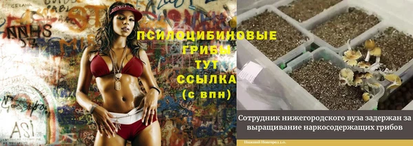 наркотики Богданович