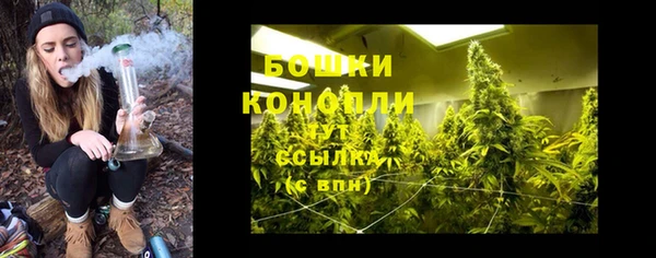 тгк Богородицк