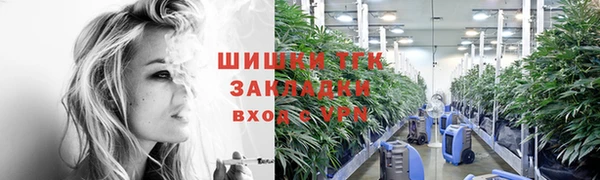 тгк Богородицк