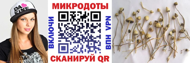 Купить где  Кстово  Псилоцибиновые грибы MAGIC MUSHROOMS 